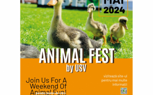 USV Iași organizează ANIMAL FEST, la sfârșitul acestei săptămâni,  în premieră va avea loc un curs de prim ajutor „Pet first aid!”