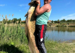 Pește uriaș prins pe o baltă din Vestul României. De patru ani pescarii încearcă să-l captureze