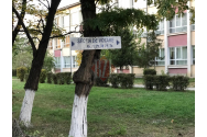 Secţii noi de votare în municipiul Iași