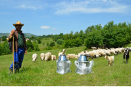  Sprijin de 150 de milioane de euro pentru fermieri