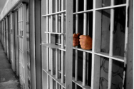 Un criminal extrem de periculos reclamă... dreptul inalienabil la învăţătură