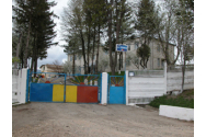  Permis de conducere fals cumpărat cu 300 de euro