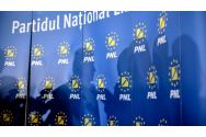 De unde vin noii primari din județ și care este configurația consiliilor locale