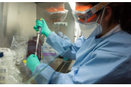 Taiwan a ajuns la a 200-a zi fără cazuri locale de coronavirus. Iată cum a reușit