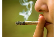  Americanii au votat masiv pentru legalizarea marijuanei
