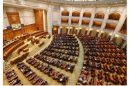 Deputaţii au păstrat un moment de reculegere în memoria martirilor de la Revoluţia din'89