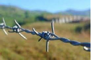 Măsură DRASTICĂ în Germania. Cei care refuză carantina vor fi internați FORȚAT