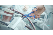 Portugalia, a patra țară europeană care autorizează eutanasierea