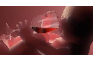 Drama unui tânăr olandez născut cu Sindromul Alcoolic Fetal 