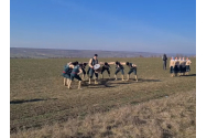 Maraton celebru în Modova. Circa de 500 de kilometri în trei zile