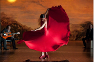 Proprietarii localurilor de flamenco protestează. Pandemia i-a adus la sapă de lemn