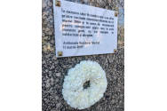 17 ani de la atentatele de la Madrid