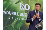 PNL Iași, condus de Costel Alexe anunță că îl susține pe Ludovic Orban pentru un nou mandat în fruntea PNL