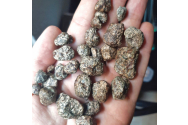  A fost descoperit cel mai vechi meteorit de origine vulcanică