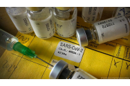Certificatul de vaccinare european trebuie să fie gata de utilizare la 1 iunie