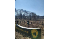 21 Martie, Ziua Internaţională a Pădurilor 