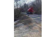 Copoul, în pericol!