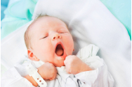 Natalitatea a crescut în Germania în timpul restricțiilor. Alocația Kindergeld și alte ajutoare de stat i-au stimulat evoluția pozitivă