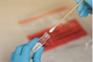 Testarea pentru coronavirus ar putea începe și în farmacii. „Este foarte important ca acest test să fie recoltat corect”