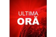 Bărbat prins cu un buletin fals, de 350 de euro, la Stânca. Voia un loc de muncă în Cehia
