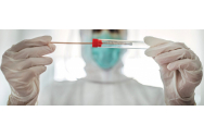 Farmaciștii trag un semnal de alarmă cu privire la testarea COVID. Vor fi costuri pentru pacienți