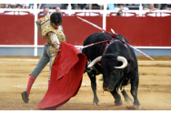 Luptele cu tauri au fost reluate la Madrid. Banii din încasări vor ajunge la toreadorii rămași fără slujbă din cauza pandemiei