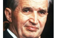 Cum l-a ucis Ceausescu pe Lache, ursul urias din Poiana Brasov. Punctajul primit de dictator reprezinta inca recordul mondial