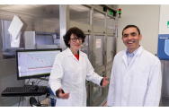 Pfizer anunță finalul pandemiei de COVID