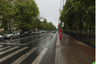 Copoul, transformat în pistă de curse!
