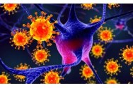 Coronavirus Marea Britanie: Numărul cazurilor de infectare cu varianta indiană s-a dublat în ultima săptămână