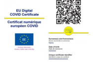 Pasaportul COVID securizat din 1 iulie. Cat timp este valabil certificatul de recuperare. 