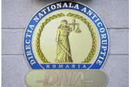 Zece angajaţi ai Serviciului de Înmatriculări Timişoara, ridicaţi de ofiţerii DGA
