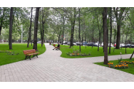 Peste 500.000 de flori livrate municipalităţii de SC Servicii Publice