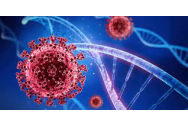 46 de cazuri noi de persoane infectate cu SARS-CoV-2