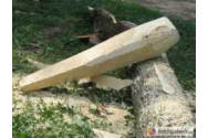 Doi tâlhari au făcut apel, solicitând parul cu care au comis fapta