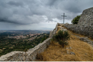 Un sat din Sardinia vrea să salveze un măslin de 2.000 de ani care a ars în urma unui mare incendiu de vegetație