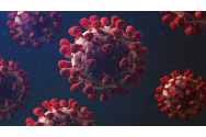 Indicatorii epidemiologici se înrăutăţesc de la zi la zi, în România