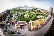 IULIUS lansează Go Local, program de susținere a antreprenorilor locali - scutiri temporare de la plata chiriei și pachet gratuit de promovare