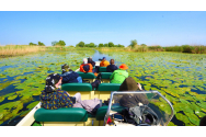 Numărul turiștilor români a scăzut în Deltă