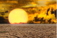Schimbările climatice modifică fizicul animalelor