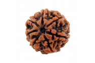 Ce este Rudraksha și cum ne ajută să avem sănătate și prosperitate