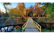 Cum arată noul parc deschis vineri în Capitală: „Este cea de-a doua Deltă a Bucureștiului”