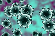 Românii au băgat spaima în Germania. Vin infectați cu coronavirus la muncă