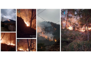 Pădurea din Oituz arde de 14 ore!