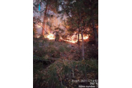 Pădurea de la Oituz arde de 30 de ore!