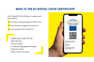 Medic francez, arestat pentru că vindea certificate verzi falsificate