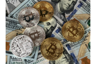 Bitcoin vs Ethereum 
