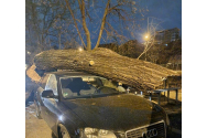 Vântul a produs nu doar pagube, ci şi victime