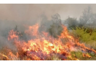 10 hectare de vegetație, distruse de un incendiu, la Vaslui