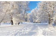 România se va muta în zona subtropicală. Dispar zăpezile!